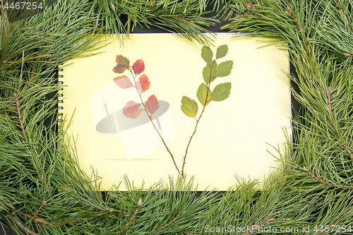 Image of Christmas Greeting Card