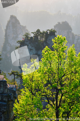 Image of Zhangjiajie mountains, China