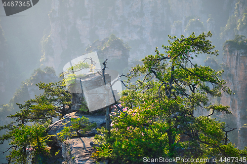 Image of Zhangjiajie mountains, China