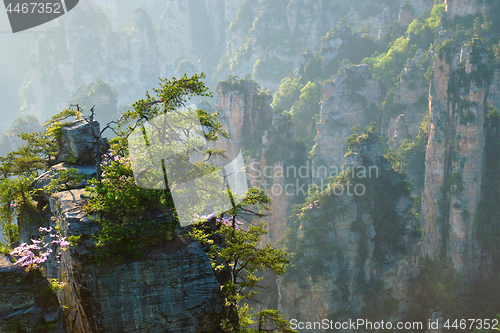 Image of Zhangjiajie mountains, China