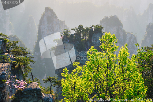 Image of Zhangjiajie mountains, China