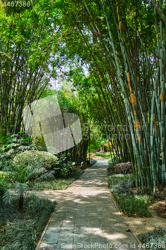 Image of Wangjiang Pavilion in Wangjianglou park. Chengdu, Sichuan, China