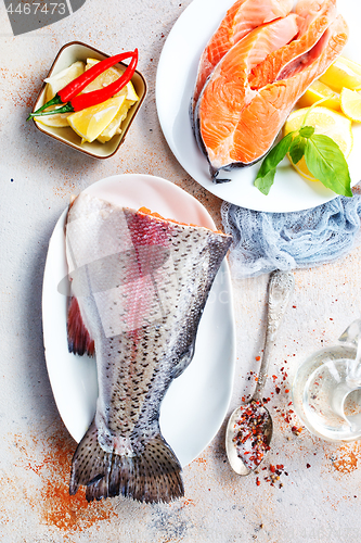 Image of salmon