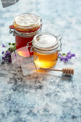 Image of Jars with different kinds of fresh organic honey