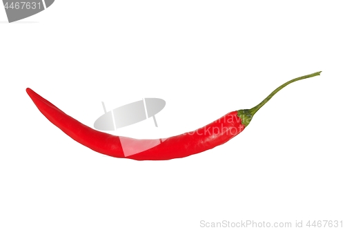 Image of Chili pepper on white