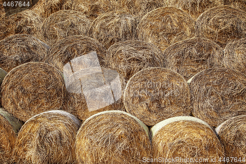 Image of Hay in the stacks. Texture
