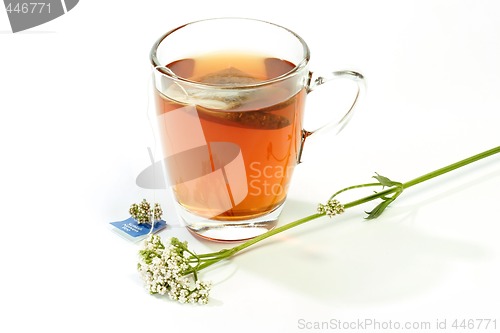 Image of Herbal Tea with Valerian