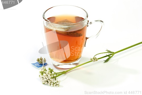 Image of Herbal Tea with Valerian