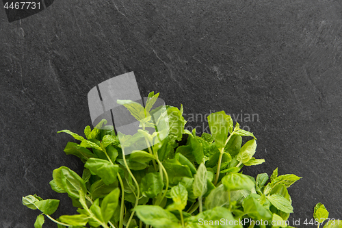 Image of green mint leaves on stone background