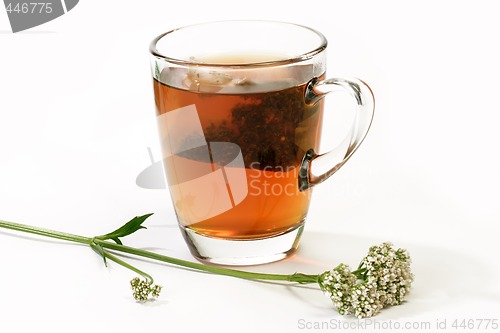 Image of Valerian Tea