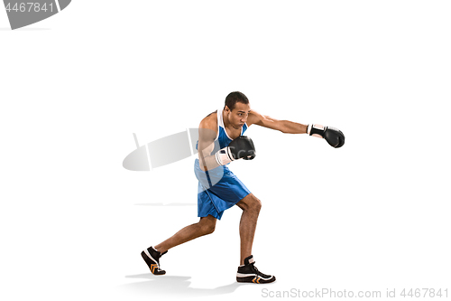 Image of Sporty man during boxing exercise. Photo of boxer on white background