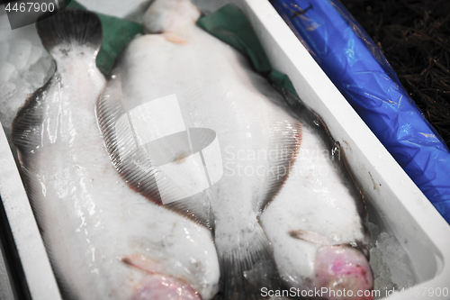 Image of flounder fish in ice box at asian street market