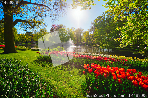 Image of Keukenhof flower garden. Lisse, the Netherlands.