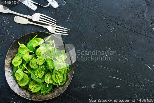 Image of spinach