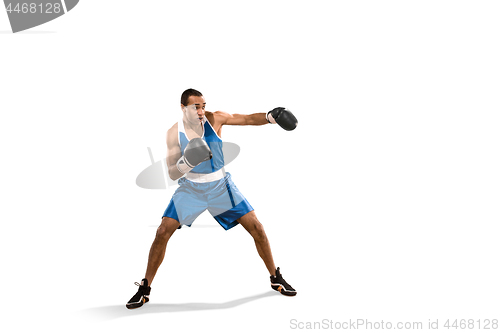 Image of Sporty man during boxing exercise. Photo of boxer on white background