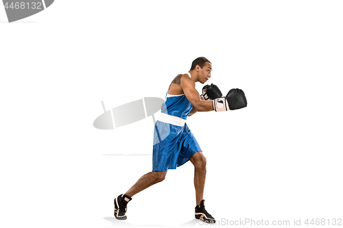 Image of Sporty man during boxing exercise. Photo of boxer on white background