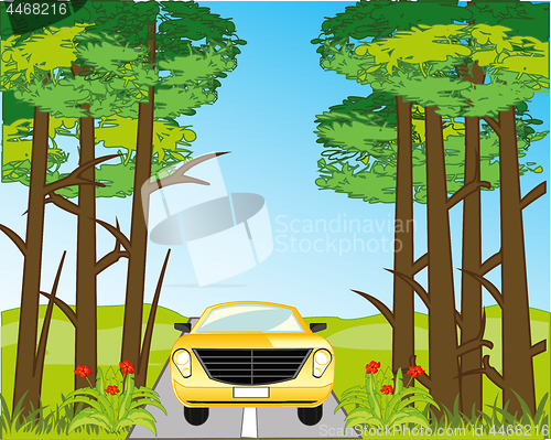 Image of Asphalt road and car amongst green wood