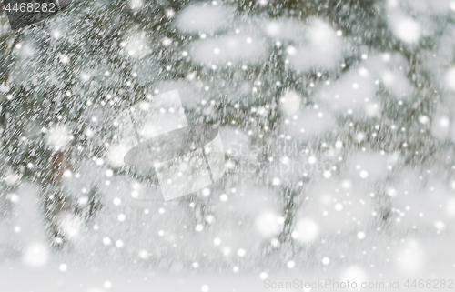 Image of snowing or snowfall