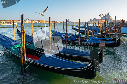 Image of Traditional gondolas in Venice