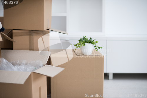 Image of Moving boxes