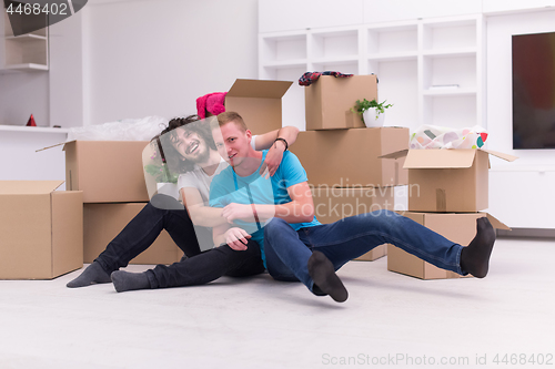 Image of young  gay couple moving  in new house