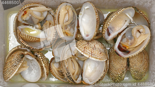 Image of Clams