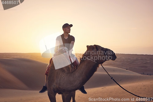 Image of Camel riding in desert