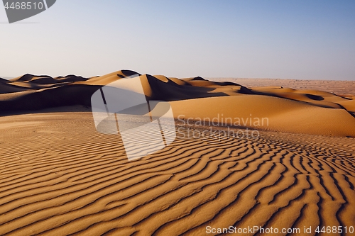 Image of Sand dunes in desert landscape