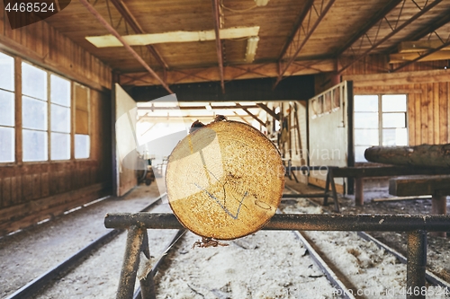 Image of Timber at the sawmill