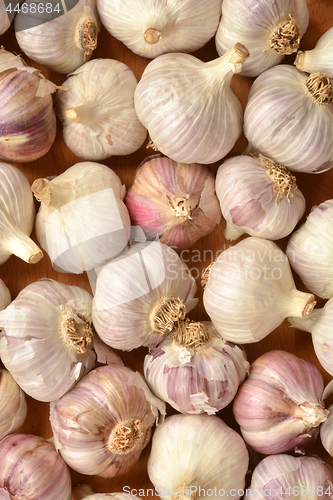 Image of Garlic
