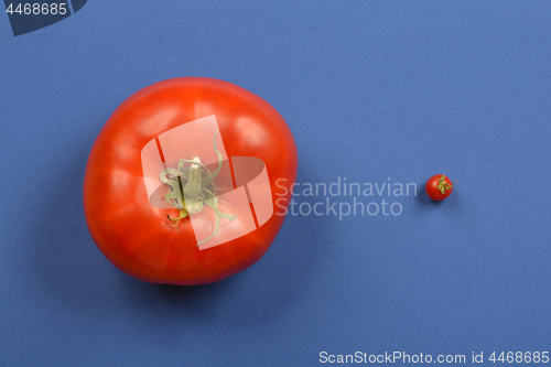 Image of Tomatos