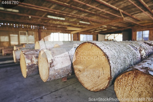 Image of Timber at the sawmill