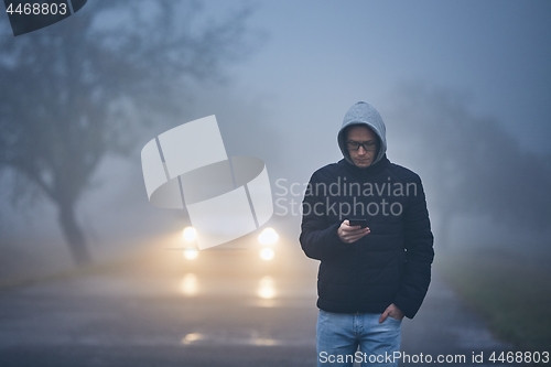 Image of Thick fog on roadside