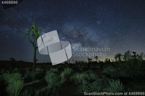 Image of Blue Milky Way Core in the Desert of Joshua Tree National Park