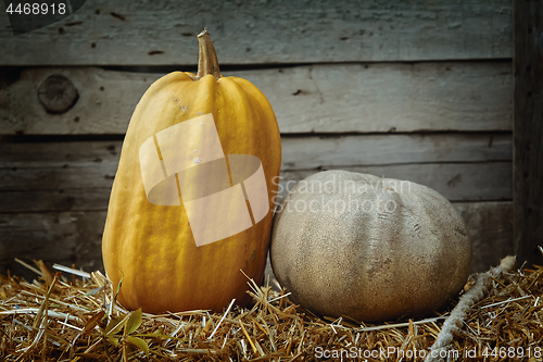 Image of Pumpkins against Wooden Background