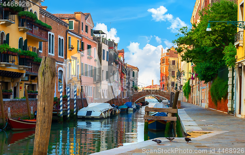 Image of Colorful houses of Venice