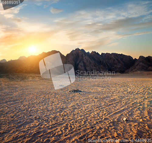 Image of Footprints in desert