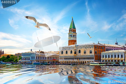 Image of Seagulls and San Marco