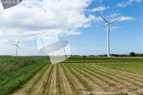 Image of Wind farm and field