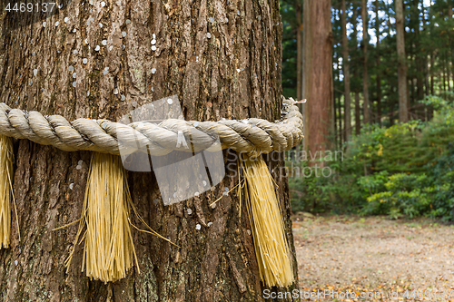 Image of Symbol of Japanese Shrine