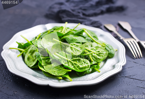 Image of spinach