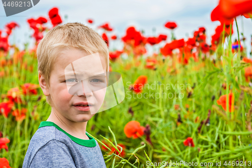 Image of Cute boy in field with red poppies