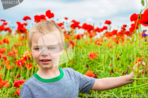 Image of Cute boy in field with red poppies