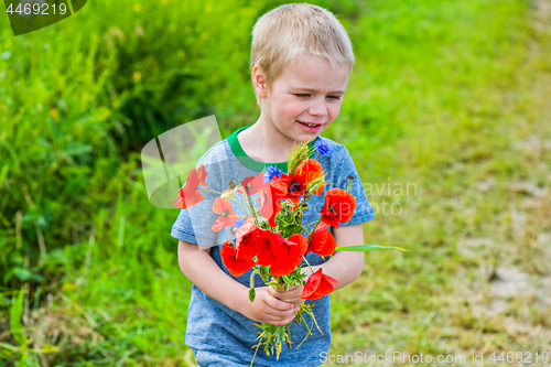 Image of Cute boy in field