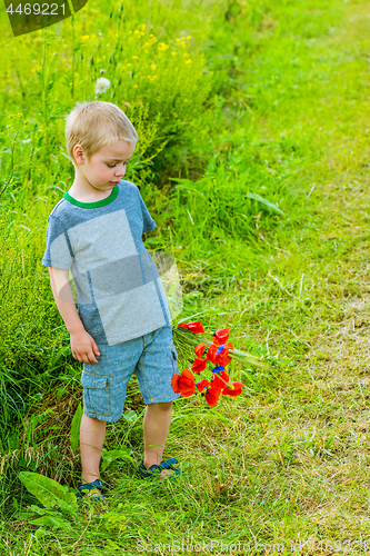 Image of Cute boy in field
