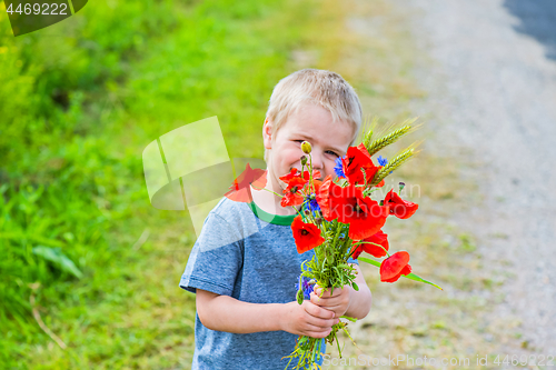 Image of Cute boy in field