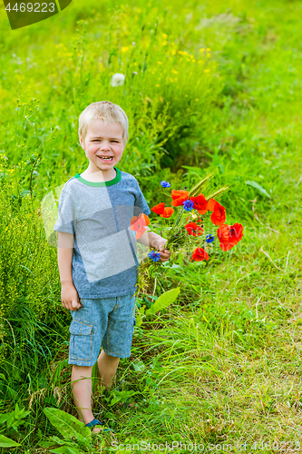 Image of Cute boy in field