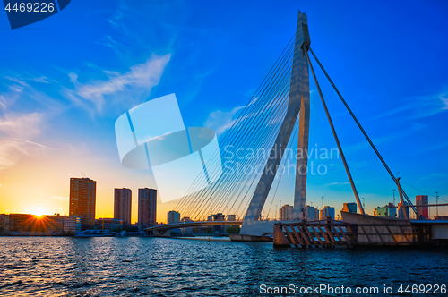 Image of Erasmus Bridge on sunset, Rotterdam, Netherlands