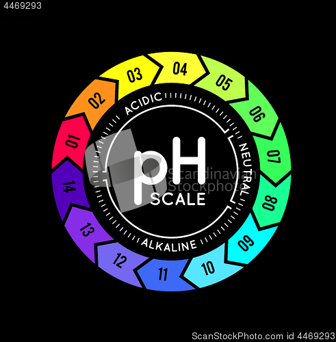 Image of pH meter for measuring acid alkaline balance. infographics in the circle form with pH scale