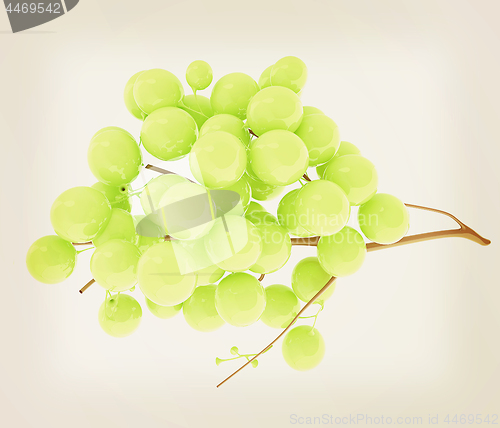 Image of Healthy fruits Green wine grapes isolated white background. Bunc